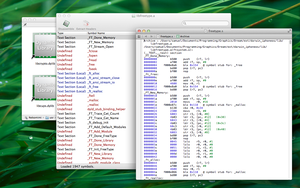 Disassemble code for debugging and reverse engineering.